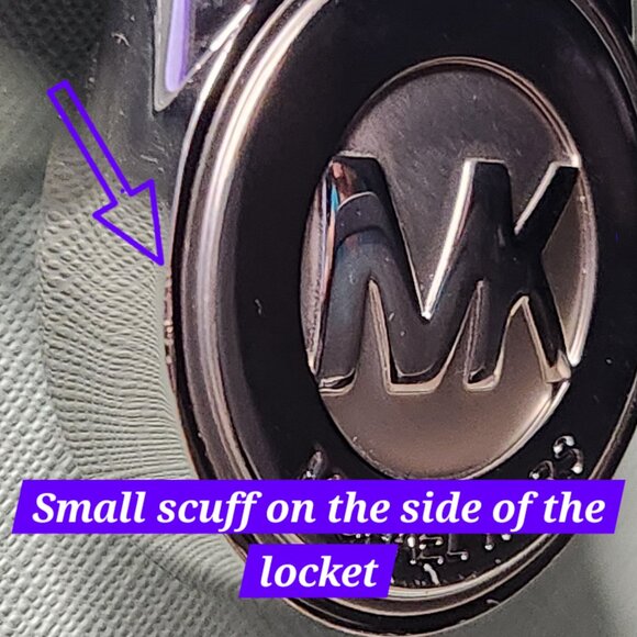 Auth. Michael Kors Hamilton East West Celadon w/ Silver Hardware - PRICE IS FIRM - Picture 12 of 12